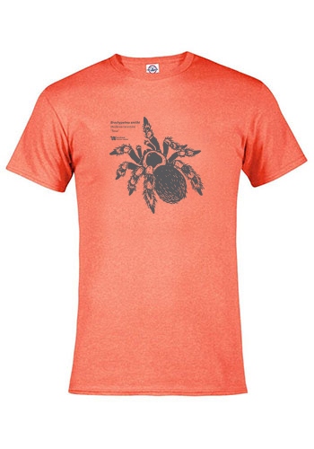 Product Description: Redknee Tri-blend T-shirt Youth